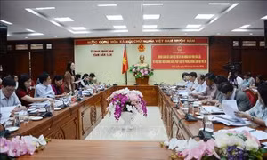 Giám sát việc thực hiện chính sách, pháp luật về phòng, chống xâm hại trẻ em tại Đắk Lắk