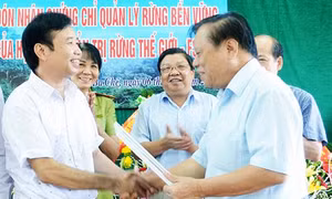 Hỗ trợ cấp chứng chỉ quản lý rừng bền vững cho 100.000 ha rừng/năm
