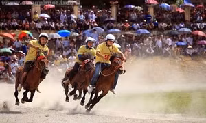 Festival Vó ngựa cao nguyên trắng Bắc Hà - sự đa dạng văn hóa, đoàn kết dân tộc