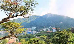 Vĩnh Phúc phát triển sản phẩm quà lưu niệm mang tính đặc trưng