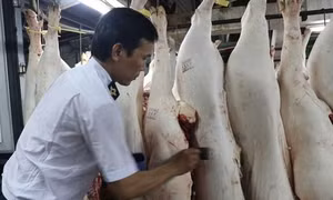 Long An kiểm soát dịch bệnh tại các lò giết mổ gia súc