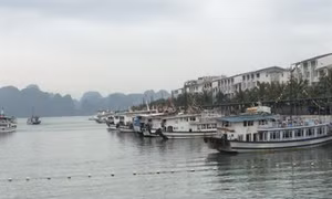 Hiệu quả mô hình “tàu du lịch chở khách ghép” trên vịnh Hạ Long
