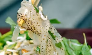 Mặn mòi sứa biển