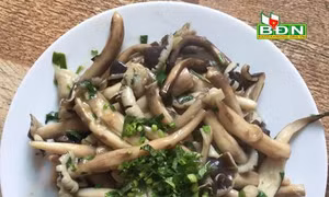 Thơm ngon nấm mối rừng