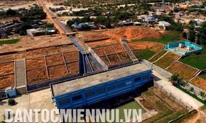 Cuộc chiến chống sa mạc hóa ở Bình Thuận