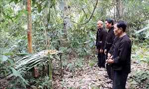 Lễ cúng rừng - nét văn hóa độc đáo của người Lự ở Lai Châu