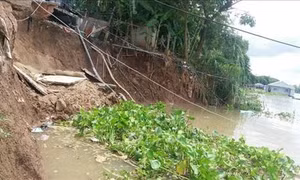 An Giang công bố tình huống khẩn cấp sạt lở bờ Sông Hậu đoạn qua địa bàn xã Châu Phong, thị xã Tân Châu