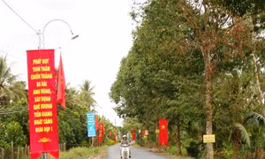 Đổi thay trên quê hương Cẩm Sơn anh hùng