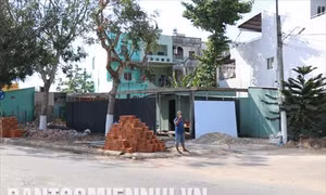 Thành lập tổ công tác liên ngành để kiểm tra, rà soát