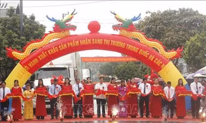 Công bố xuất khẩu nhãn Sơn La