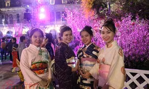 Tuyển chọn Đại sứ thiện chí hoa Anh đào tại Lễ hội hoa Anh đào Nhật Bản - Hà Nội 2019