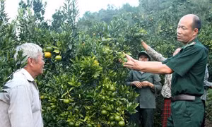 Đảng viên quân hàm xanh giúp dân nghèo biên giới Lào Cai