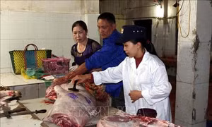 Đảm bảo chất lượng bữa ăn ca cho người lao động vùng dịch tả lợn châu Phi