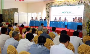 Sóc Trăng: Diễn đàn “Biện pháp canh tác lúa thích ứng xâm nhập mặn”
