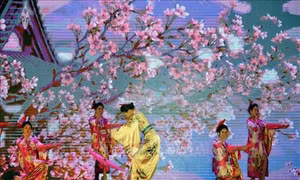 Khai mạc Lễ hội hoa Anh Đào và Mai vàng Yên Tử năm 2019