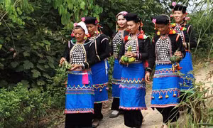 Lễ cúng cơm mới của dân tộc ít người nhất miền Bắc