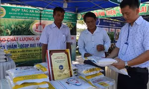 Nâng cao chất lượng thương hiệu Gạo Phú Thiện