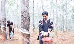 Kpă Meo chu toàn việc nước, làm kinh tế giỏi