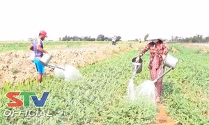 Cuộc sống của đồng bào Khmer Sóc Trăng khởi sắc