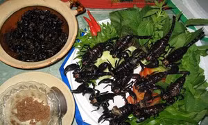 Đặc sản An Giang nhiều không kể xiết