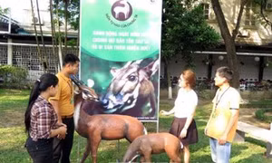 Hội thảo về khôi phục và bảo tồn động vật quý hiếm Sao La