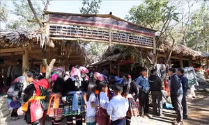 Phát triển ngành "công nghiệp không khói” ở huyện Tam Đường