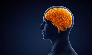 Những loại nước ép trái cây giúp tăng cường trí nhớ của bạn