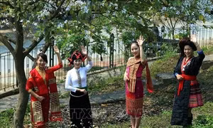 Phụ nữ dân tộc Thái tỉnh Điện Biên bảo tồn văn hóa qua nghệ thuật thêu thùa