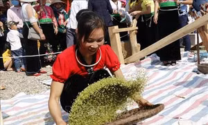 Lễ hội cốm Tú Lệ: Tôn vinh giá trị văn hóa truyền thống của đồng bào dân tộc Thái