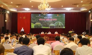 "Sân chơi" cho người trồng rừng