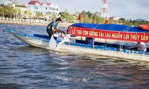 Thả con giống tái tạo nguồn lợi thủy sản trên đầm Đông Hồ