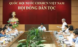 Thẩm tra sơ bộ Đề án tổng thể phát triển kinh tế - xã hội vùng đồng bào dân tộc thiểu số và miền núi