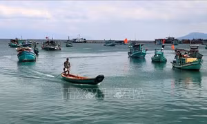Kiên Giang đầu tư hơn 180 tỷ đồng sửa chữa, nâng cấp cảng cá