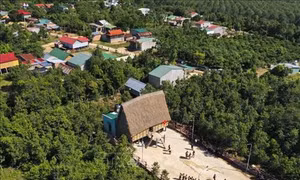 Gia Lai phục dựng nghi lễ lên nhà Rông mới của đồng bào Bahnar