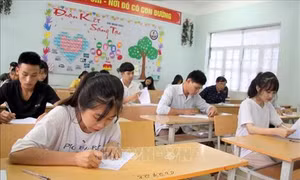 Không công bố đề thi minh họa kỳ thi Trung học phổ thông quốc gia năm 2020