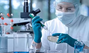 Điều trị ung thư bằng tế bào gốc mang lại hiệu quả cao