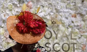 Ngắm nhìn những chiếc mũ độc đáo tại lễ hội đua ngựa Royal Ascot