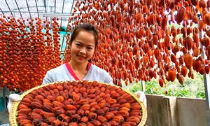 Gắn “thẻ căn cước” cho đặc sản Đà Lạt