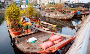 Các tiểu thương chở nhiều loại hoa, cây kiểng như mai vàng, cúc, tắc, cúc mâm xôi đa dạng màu sắc, chủng loại tại khu vực bến Bình Đông, quận 8. Ảnh: An Hiếu