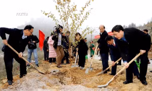 Hà Giang khắc sâu lời dạy của Bác "Mùa Xuân là Tết trồng cây"