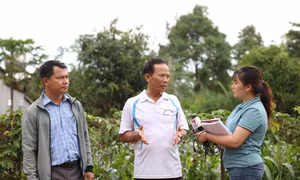 Vụ tấn công tại Đắk Lắk: Phát huy thế trận lòng dân, bảo vệ vững chắc an ninh Tổ quốc