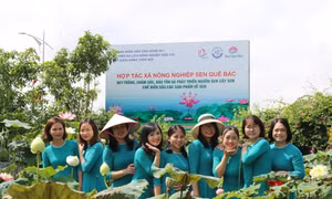 Nghệ An phát triển du lịch gắn với quảng bá nông sản địa phương