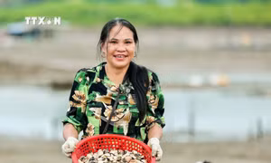Bà Nguyễn Thị Biên làm giàu nhờ mô hình nuôi ngao thương phẩm