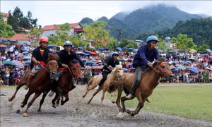 Khai hội Festival Cao nguyên trắng Bắc Hà