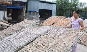 Làng nghề Vàm Láng giải quyết việc làm cho lao động vùng biển
