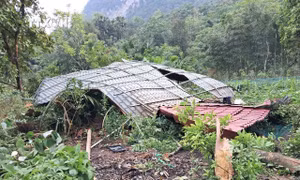 Yên Bái: 150 ngôi nhà bị thiệt hại và 2 người bị thương do dông lốc