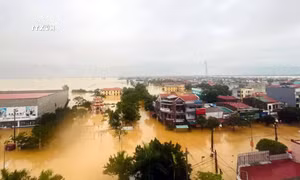 Nông dân Quảng Bình trắng tay sau lũ