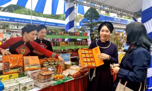 Hội chợ phụ nữ khởi nghiệp nâng cao ý thức của người tiêu dùng về phong trào người Việt dùng hàng Việt