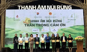 Yên Bái hưởng ứng Chiến dịch “Vì một triệu cây tre Việt”
