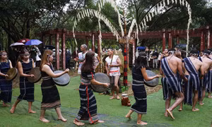 Lễ mừng lúa mới của đồng bào dân tộc K’ho